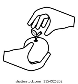 hand with apple fresh fruit