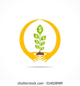 hand around money plant , secure money concept design vector