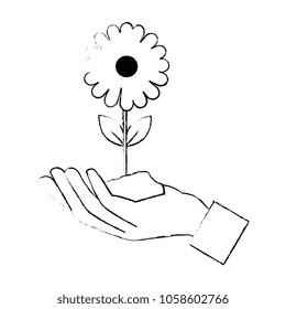 hand with beautiful sunflower