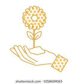 hand with beautiful sunflower