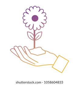 hand with beautiful sunflower