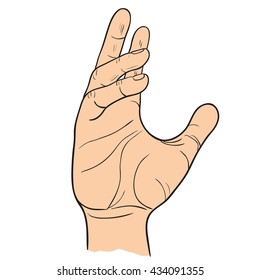 Hand with bent fingers gestures. Vector illustration of linear black and white. Template of the gesture of the hand which holds the object.