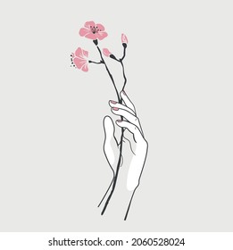 hand with blooming twig, cherry blossoms, sakura, vector illustration for card