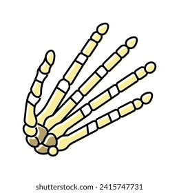 hand bone color icon vector. hand bone sign. isolated symbol illustration