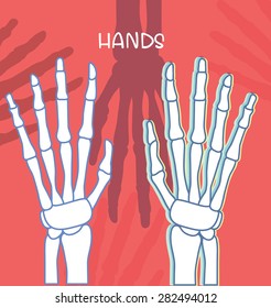 Hand bone structure on pink background 