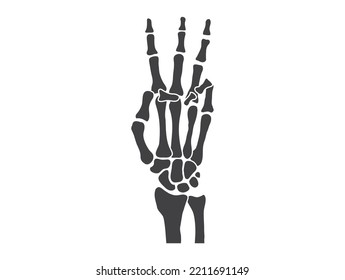 hand bones  black and white human skeleton bone hands