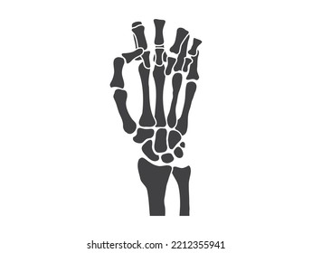 hand bones  black and white human skeleton bone hands