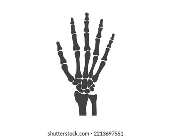 hand bones  black and white human skeleton bone hands