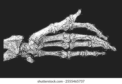 Hand Bones Illustration monochrome x-ray