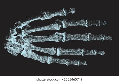 Hand Bones Illustration monochrome x-ray