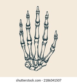 Hand bones vector illustration detailed and easy to edit