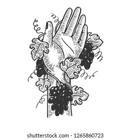 Hand braided with grape vine plant engraving vector illustration. Scratch board style imitation. Black and white hand drawn image.