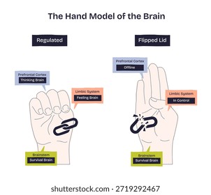 El modelo cerebral de la mano contrasta la regulación vs la tapa volteada con el puño y la mano abierta, muestra la corteza prefrontal, el sistema límbico, el tronco encefálico y un Enlace roto que simboliza la desconexión. Diagrama