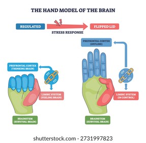 Hand brain model explains stress response, contrasting regulated vs flipped lid, key elements, hand, prefrontal cortex, limbic system for quick learning. Outline diagram
