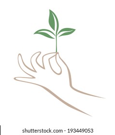 Hand and branch. Illustration with hand holding short branch. Hand drawn brushstroke elements. Painting style. Line art for logo and design. Vector file is EPS8, all elements are grouped.