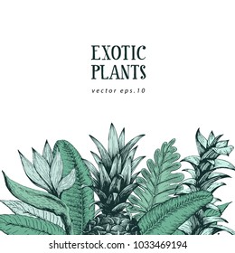 Hand brawn botanical background with hand drawn exotic plants and pineapple. Vector banner template. Retro illustration.