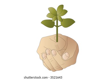 hand with budding plant and copy space vector