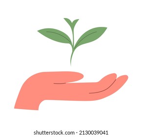 The hand carefully holds the green sprout of the plant. The concept of caring for the environment. Flat vector illustration isolated on white background