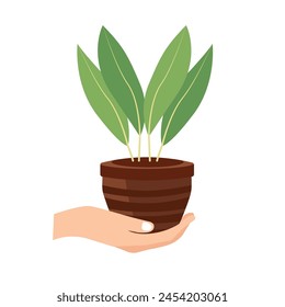 Hand carrying tree seeds vector illustration, hand holding small plant in flower pot, cartoon hand brings a sapling