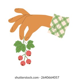 Hand with checkered shirt sleeve cuff holding ripe redcurrant branch with leaves. Cute vector illustration of berry jam label design, pie recipe, farm gardening, harvest. Side view.