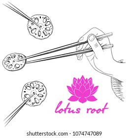 
Hand with chopsticks and a piece of lotus root.Vector drawing in vintage style. Asian cuisine  dish .Hand-drawn  food illustration.