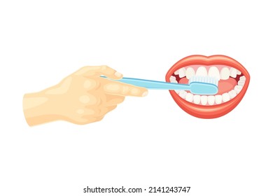 Hand cleaning teeth with toothbrush. Oral hygiene, dentistry vector illustration