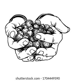 Mano de con frijoles de café sobre fondo blanco aislado