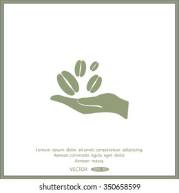 hand and coffee bean icon
