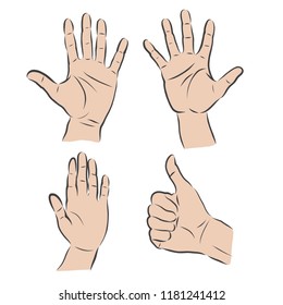 Hand collection - Hand-drawn vector illustration