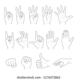 Hand collection. Set of realistic gestures hand shape.  Isolated contour on  white background. Vector