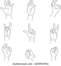 Hand collection - vector line illustration