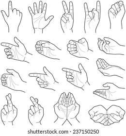 Hand collection - vector line illustration 