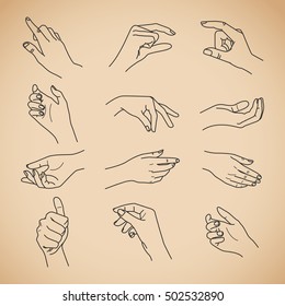 Hand collection    vector line illustration    vintage background