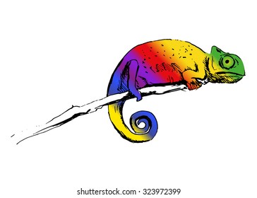 hand colored sketch chameleon