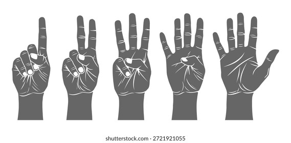 Mano Contando Gesto Señal de dedo Números Uno Dos Tres Cuatro Cinco Ilustración vectorial