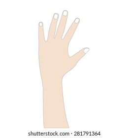 hand counting on white background,Vector illustrations
