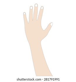 hand counting on white background,Vector illustrations