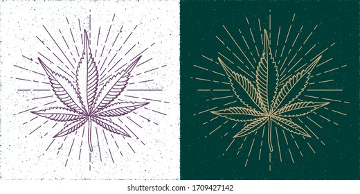 Hand Crafted Marijuana or Cannabis Straight and Inverted Leaves with Rays Circles Set Yin Yang Style Compositin - Gold and Purple on White and Turquoise Background - Vector Vintage Graphic Design