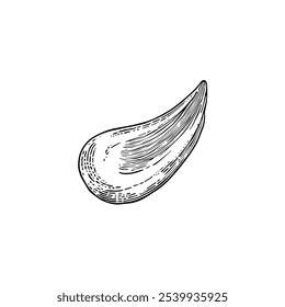 Creme de mão, vetor desenhado à mão, estilo gráfico, ilustração de desenhos animados, preto e branco, estilo de esboço, isolado no fundo branco