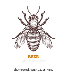 Hand darwn vector of honey bee isolated on white. Sketch engraving illustration of insect. Engraving illustration for beekeeping and apiculture farm