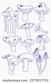 Hand darwn vector mushrooms outline image on notebook page background. Graphic line work of fungi set. isolated elements set. Different types of vector fungus. EPS
