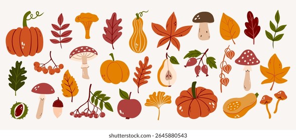 Hand draw autumn elements collection. Pumpkin, leaves, umbrellas, mushrooms.