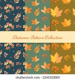 Hand draw autumn patterns. Autumn seamless pattern with different leaves and plants