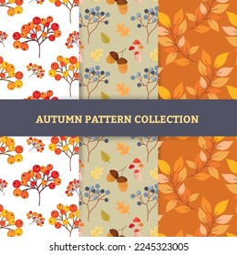 Hand draw autumn patterns. Autumn seamless pattern with different leaves and plants
