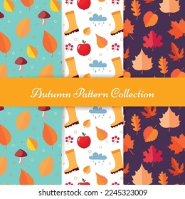 Hand draw autumn patterns. Autumn seamless pattern with different leaves and plants