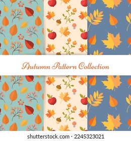 Hand draw autumn patterns. Autumn seamless pattern with different leaves and plants