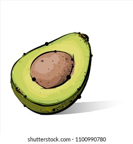Dibujo manual de aguacate. Ilustración vectorial.
