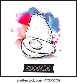 Hand draw of avocado. Vector illustration.