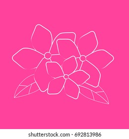 Hand draw brush flower on pink background