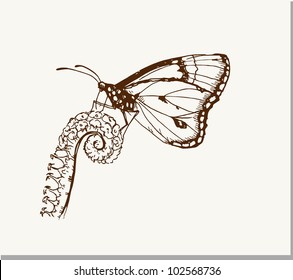 Hand draw butterfly on a flower